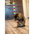 Shop Vibrant Life Rainbow Wand Cat Toy, with Feather and Bell, 1 Pack