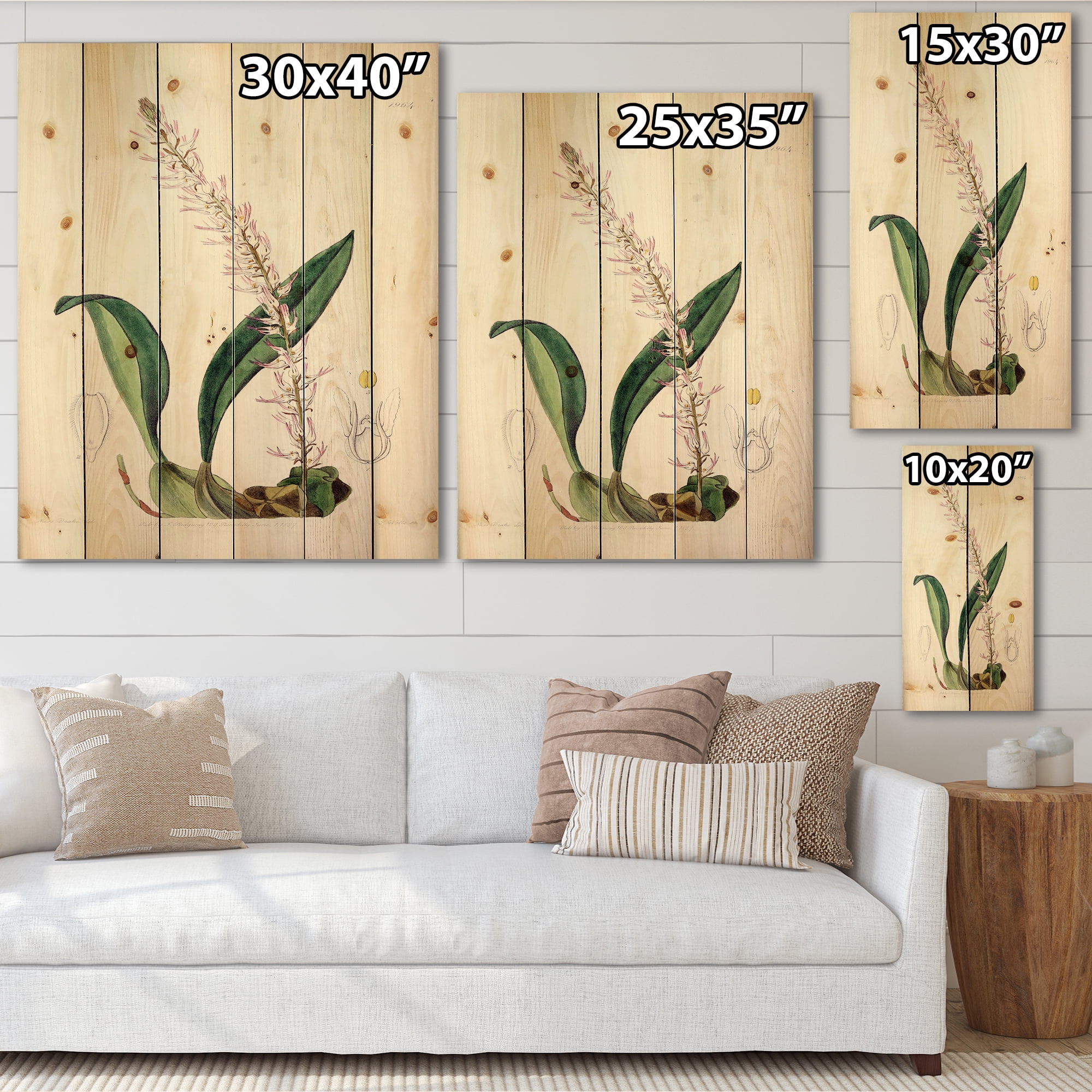 Designart 'Ancient London Plants V' Traditional Print on Natural Pine Wood