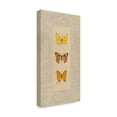 thumbnail image 2 of Trademark Fine Art 'Butterfly Trio I' Canvas Art by Wendy Russell, 2 of 4
