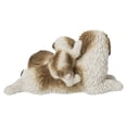 thumbnail image 2 of SHIH TZU Mère et Bébé, 2 of 5