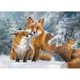 thumbnail image 2 of Cuadros Decorativos Foxes 5D DIY Diamond Painting Kits Full Round Drill Wall Decor Craft (NH2677) Tmvgtek embutido en tela, 2 of 8