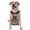 With Accessories, variant on Vsdgher Modern Urban Monkey Pattern Dog Harness,No Pull Pet Harness with Soft Padded Handle,Adjustable Reflective Vest with 2 Buckles,4 Slide Buckles,S-XL X-Large