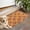 Football Fire Orange Pattern, variant on Football Fire Orange Pattern Washable Non Slip Indoor Door Mat, Decorative Entry Rug for Entrance, Bedroom, Kitchen, Bathroom, 16"x24"