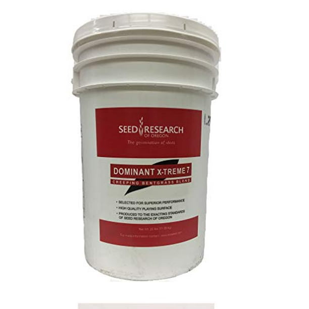 Dominant X Treme 7 Creeping Bentgrass Blend 25 Lb Pail Walmart Com Walmart Com Dominant X Treme 7 Creeping Bentgrass Blend 25 Lb Pail Walmart Com Walmart Com