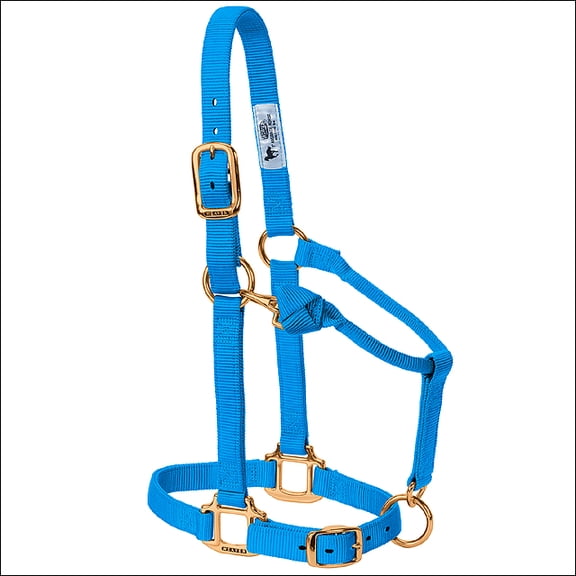 Weaver Leather Original Adjustable Nylon Weanling / Suckling / Arabian Horse Halter 3/4" Hurricane Blue / Weanling