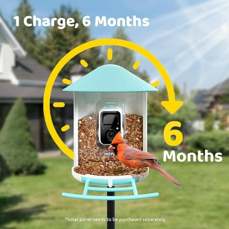 Smart Bird Feeder Camera, Netvue Birdfy Automatic Outdoor Bird Accessories with APP Notification AI Recognition Night Version Waterproof for Yard/House Buddy