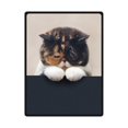 thumbnail image 1 of RYLABLUE Cat Fleece Blanket Throw Blanket 58x80 inches, 1 of 1