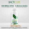 thumbnail image 5 of BACTICURE (1) Probiotic Probiotico Natural ORIGINAL by BACTICURE, 5 of 5