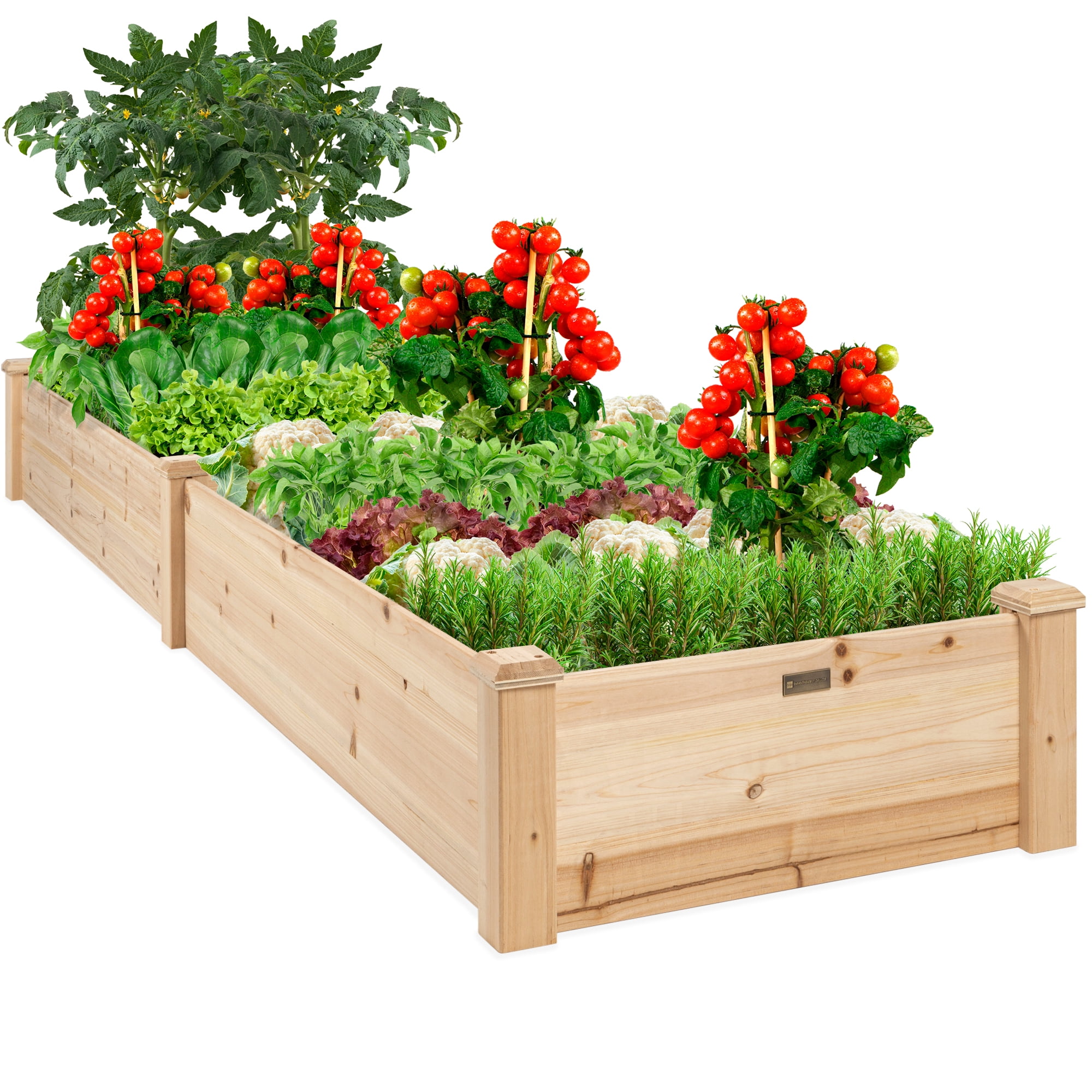 EBRTSET Raised Garden Bed 8 x 4 Planter Box Natural Wood Garden Box for Vegetables 
