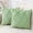 Sage Green, variant on decorUhome Decorative Throw Pillow Covers 18x18 Set of 2, Soft Plush Faux Fur Wool Pillow Covers for Couch, Sage Green