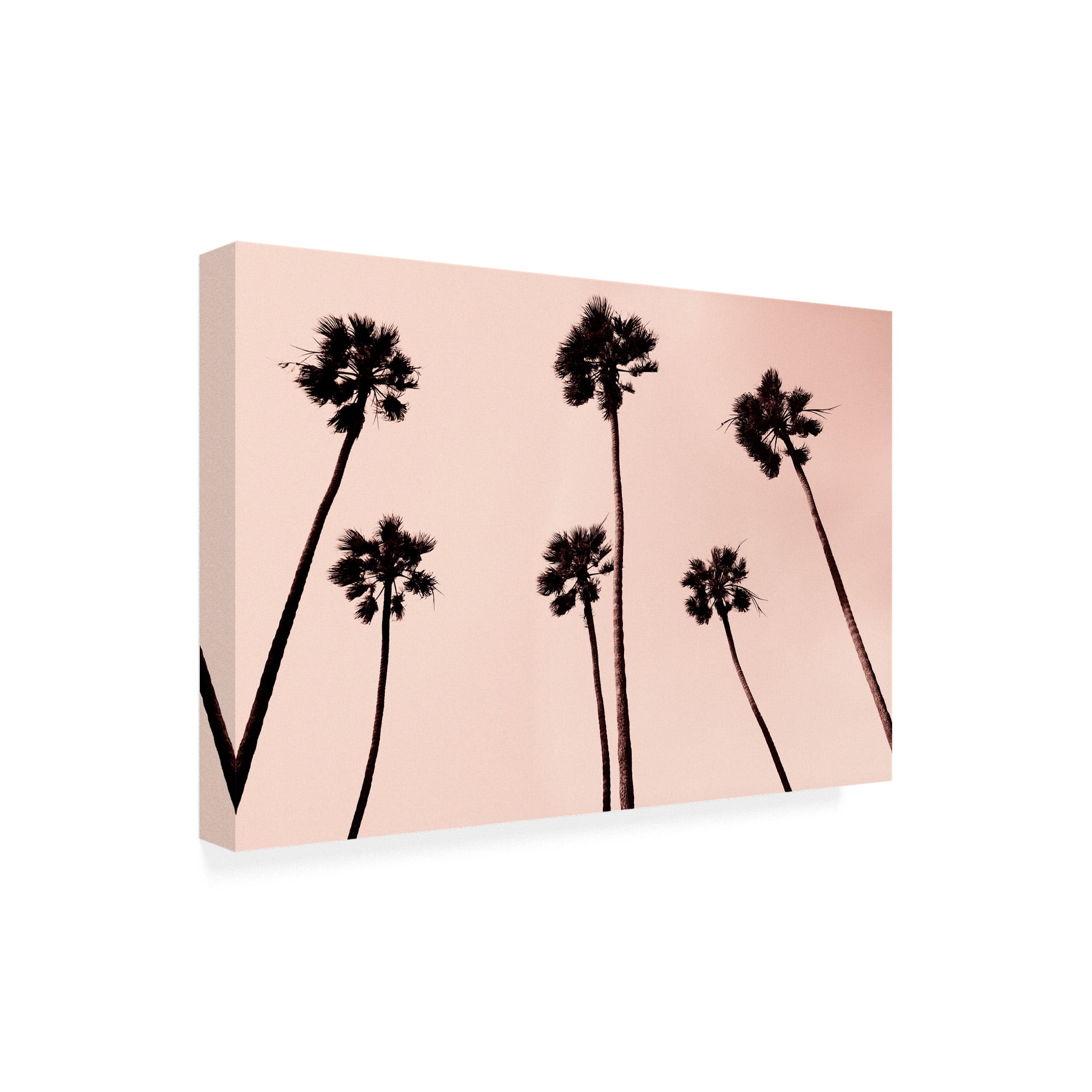 Trademark Fine Art 'Palm Trees 1997 Copper' Canvas Art by Erik Asl