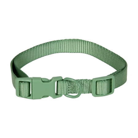 Vibrant Life Polyester Adjustable Collar for Dogs, Sage Green, Medium