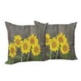 thumbnail image 6 of Ambesonne Garden Throw Pillow Cover 2 Pack, Helianthus Sunflowers, 16", Brown Yellow Green, 6 of 6