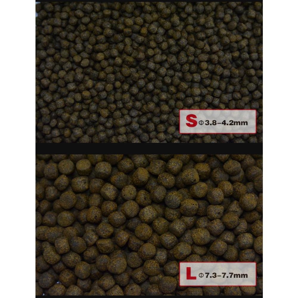 Aqua Master Color Enhancer Koi Food (5 KG) - Medium Pellets