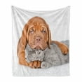 thumbnail image 1 of Dog and Cat Soft Flannel Fleece Throw Blanket, Sad Bordeaux's Head on a Sleeping Kitten, Cozy Plush for Indoor and Outdoor Use, 70" x 90", Ginger Pale Grey White, by Ambesonne, 1 of 5