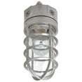 thumbnail image 1 of VT100G 100W Vapor Tight Incandescent Flood Light, 1 of 1