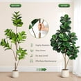thumbnail image 4 of 6ft Artificial Fiddle Leaf Fig Tree - Faux Ficus Lyrata with White Planter, Indoor Floor Fake Plant for Living Room Home Office Decor, Housewarming Gift, 4 of 7