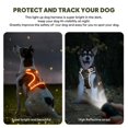 thumbnail image 2 of Chaleco para perros con iluminación BiPawti, sin tirones, para perros grandes, 2 of 7