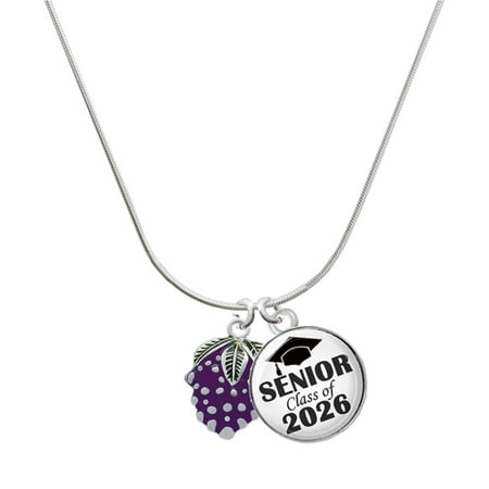 Delight Jewelry Silver-tone Purple Grapes – Silvertone Senior Class of 2026 Dome Necklace 18