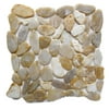 Golden Topaz High Gloss 12 in. x 12 in. Sliced Natural Pebble Stone Floor and Wall Tile (10 sq. ft. / case)