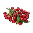 thumbnail image 1 of Matsuzay Cereza simulada Centro de creativamente encantador Doble cabeza Frutas falsas Patrones grandes Decorar Gabinete Sala Salón Decoración 44 Cabezas Negro Rojo NO3 Matsuzay HA071879-03, 1 of 6