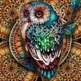 thumbnail image 1 of Taladro cuadrado completo diamante pintura búho 5D DIY mosaico arte hogar pared imágenes regalo Hugtrwg Para estrenar, 1 of 9