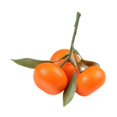 thumbnail image 3 of Simulación de fruta, naranja Artificial con hoja, Mini adorno de mandarina, modelo pequeño realista de Kumquat para restaurante de granja, 3 of 8