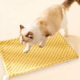 thumbnail image 6 of Dog Mat Cat Mat Flat Crate Mat with Anti-Slip Bottom Machine Washable Pet Kennel Pad for Dog Sleeping, 6 of 6