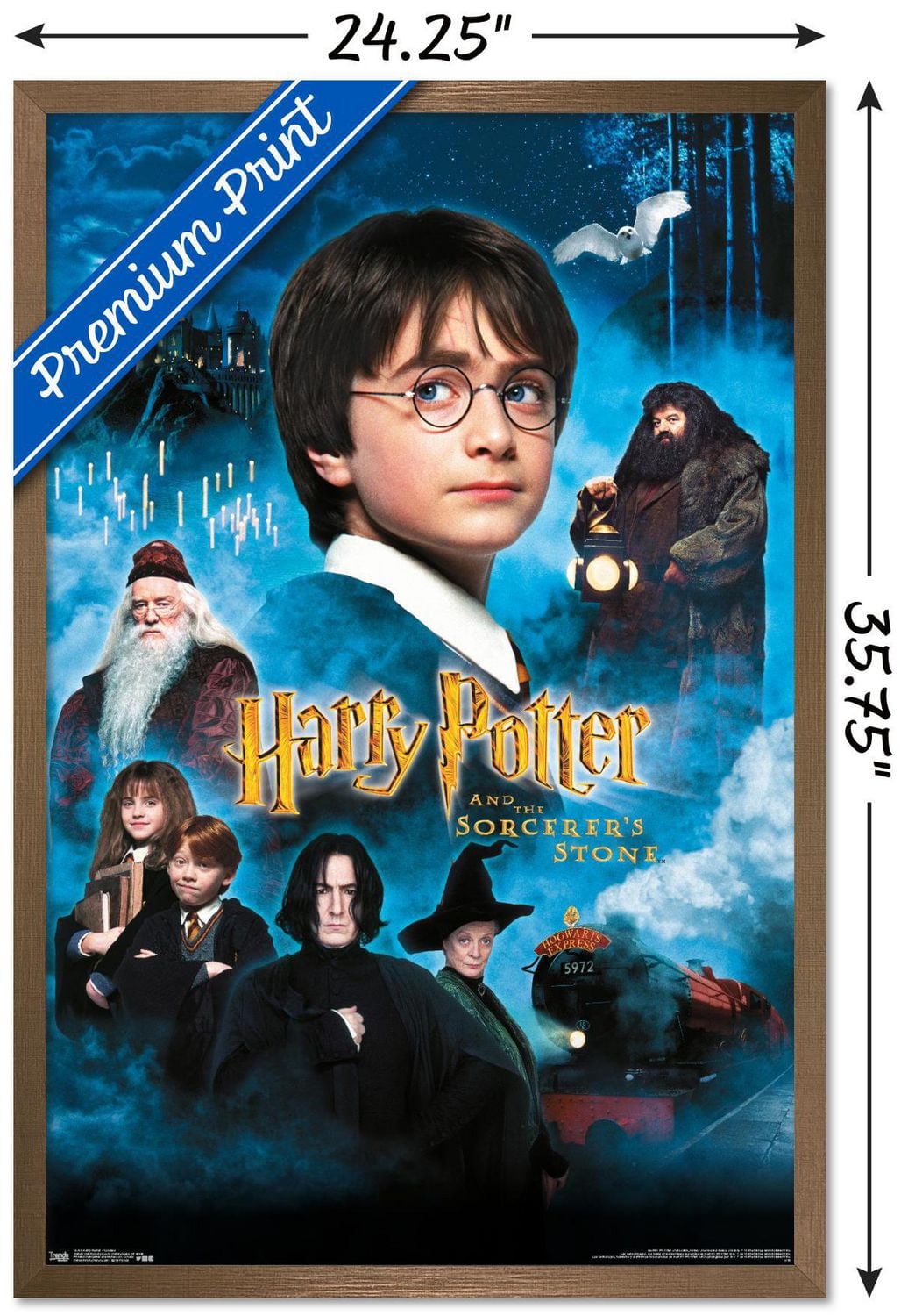 Harry Potter and the Sorcerer's Stone - Candles One Sheet Wall Poster, 22.375" x 34"