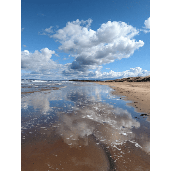 Ocean Beach Canvas Print, Coastal Wall Art for Living Room, Office, Bathroom, Coastal Home Decor