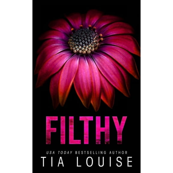 Hamiltown Heat Filthy: A small-town bodyguard romance., Book 2, (Paperback)