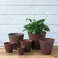 thumbnail image 4 of Novelty 12" Round Napa Planter, 4 of 7
