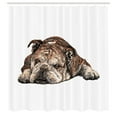 thumbnail image 3 of Ambesonne Bulldog Shower Curtain, Single Hand Drawn Bulldog, 69"Wx70"L, Charcoal Grey and White, 3 of 5