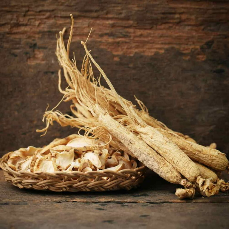 Outsidepride Panax Ginseng Herb Seeds - 20 Seeds