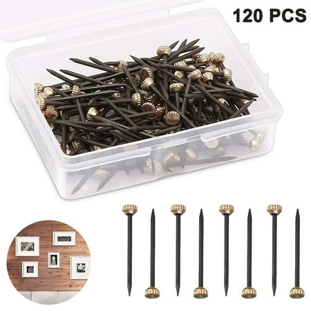 

120 pieces picture nails brass head pins hardened photo hooks coat hanger wall pins 25mm long nail hook pins with plastic storage box picture nails for hanging pictures