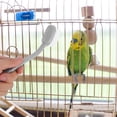 thumbnail image 1 of IFANLANDOR 4Ud Herramienta Para Limpieza De Jaulas De Pájaros Cepillo Con Mango Largo Y Cabezas Intercambiables, 1 of 8