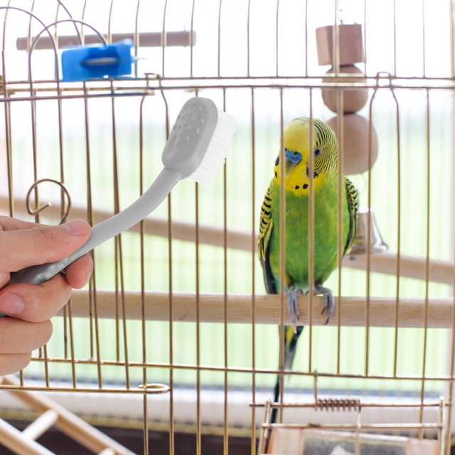 IFANLANDOR 4Ud Herramienta Para Limpieza De Jaulas De Pájaros Cepillo Con Mango Largo Y Cabezas Intercambiables