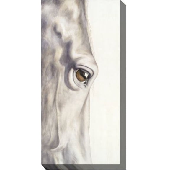 Outdoor Living and Style Gray and White Pale Long Eye Outdoor Canvas Rectangular Wall Art Decor 48"