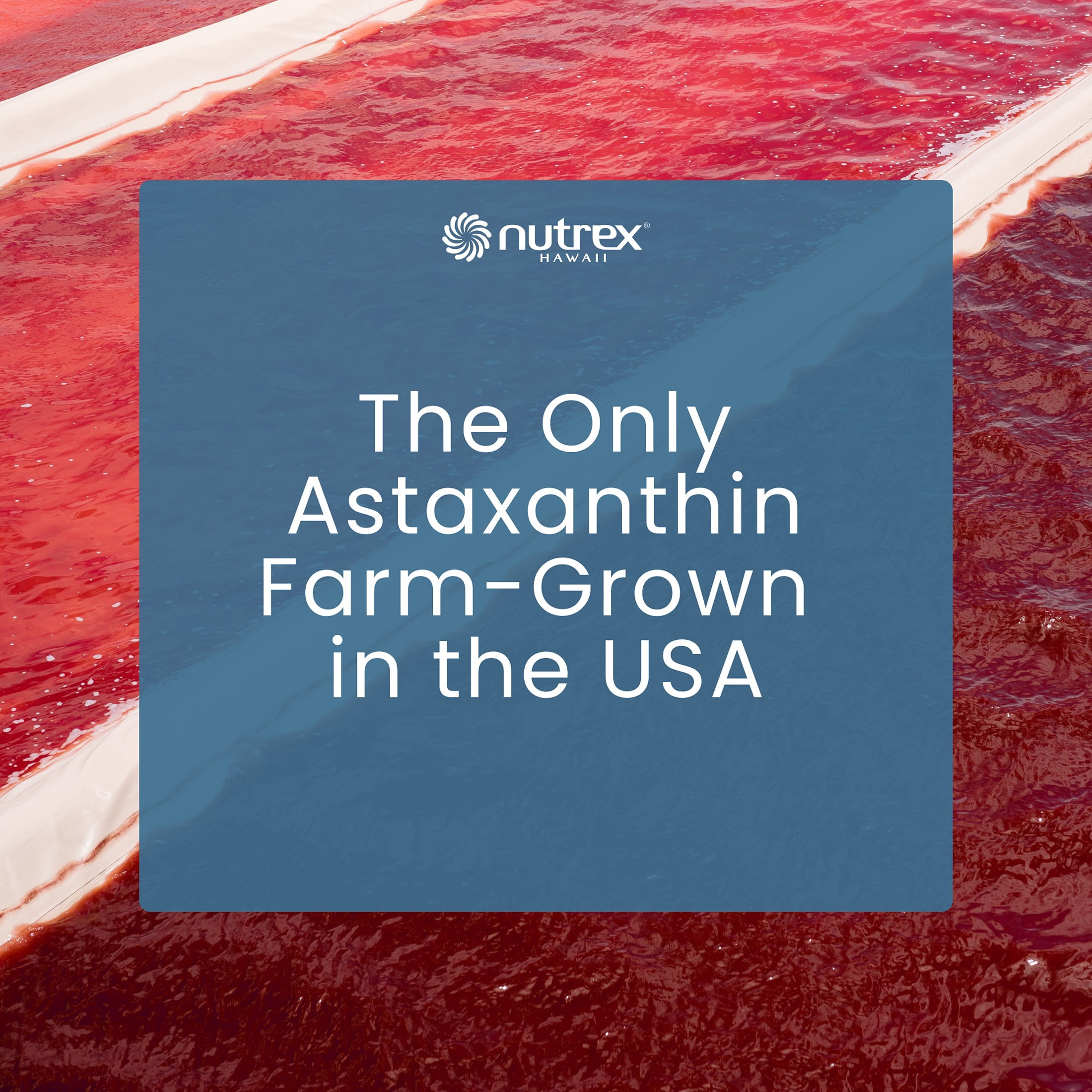Nutrex Hawaii BioAstin Hawaiian Astaxanthin - Joint Comfort and Mobility - Combo of Flaxseed Oil, Vegan Glucosamine and Astaxanthin Grown in Kona, Hawaii- Vegan - 12mg High Potency, 120 Softgels