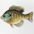 thumbnail image 2 of CafePress - Bluegill Bream Fishing - Adjustable Unisex Printed Trucker Hat with Mesh Back, 2 of 8