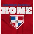 thumbnail image 2 of Dominican Republic Home Plate Base Hoodie Sweatshirt Women Men Brisco Brands 3X, 2 of 5