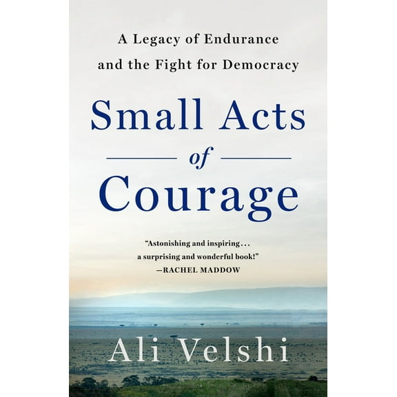 Small Acts of Courage: A Family's Legacy of Endurance and the Fight for Democracy, (Paperback)