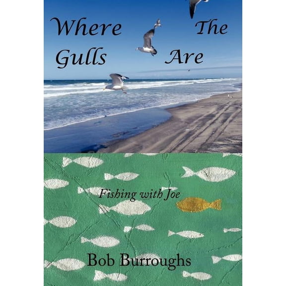 Where the Gulls Are : Fishing with Joe (Hardcover)