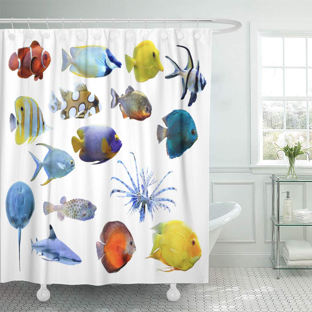 CYNLON Blue Reef Great Collection of Tropical Fish on White Bathroom
