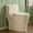 Bisque, variant on HOROW Compact One Piece Toilet, ADA Height 17.3" Comfort Seat, Elongated Dual Flush 1.1/1.6 GPF