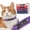 Purple, variant on Pet Artist Personalized Leather Dog Collar Soft Padded Free Engraved Pet Name Number XS-L