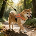 thumbnail image 3 of Breathable No Pull Harness With Reflective Leash Soft Cationic Mesh Vest For Small Easy On Off Adjustable Fit All Season Comfort Pet Supplies, 3 of 3