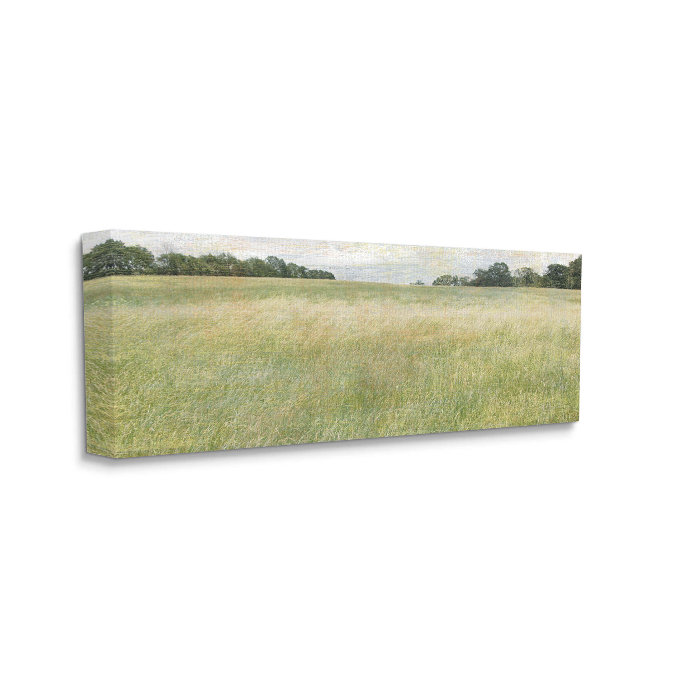 Vast Grassland Field Rural Scene Landscape Graphic Art Gallery Wrapped Canvas Print Wall Art