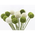 thumbnail image 4 of 18 Pcs Artificial Billy Ball Flowers, Craspedia Globosa Benth, Australian drumstick Chrysanthemum, Eternal Life Flower for Home, Wedding, Fall Autumn Decorations (Yellow and Orange, 18), 4 of 5