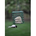 C&S Products Hanging EZ Fill Suet Cake Wild Bird Feeder- Green - image 5 of 8
